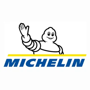 Goma Michelin